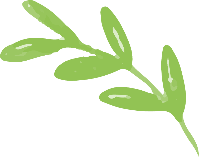 leaf
