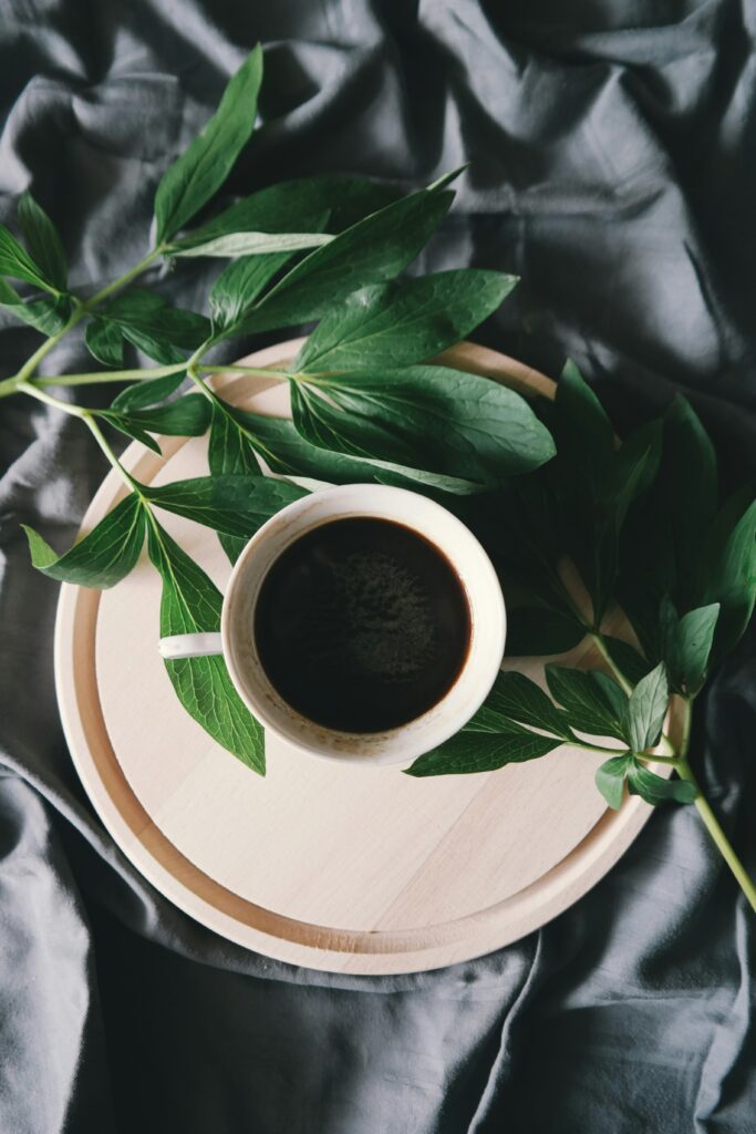 Moringa Magic for Energy Without Caffeine
